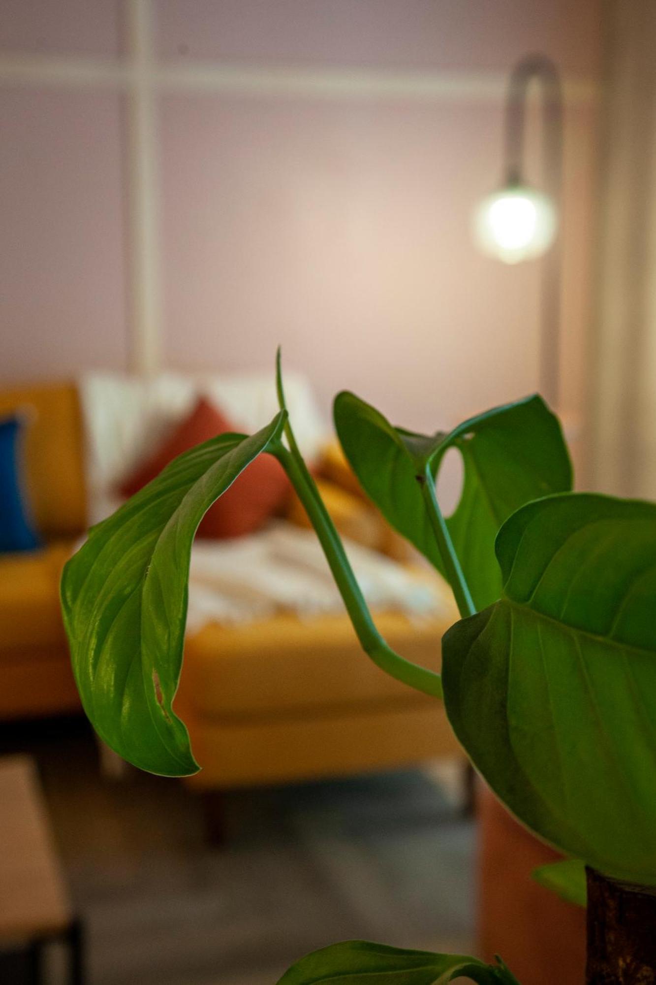 Apartamento Sinaloa By Mr W